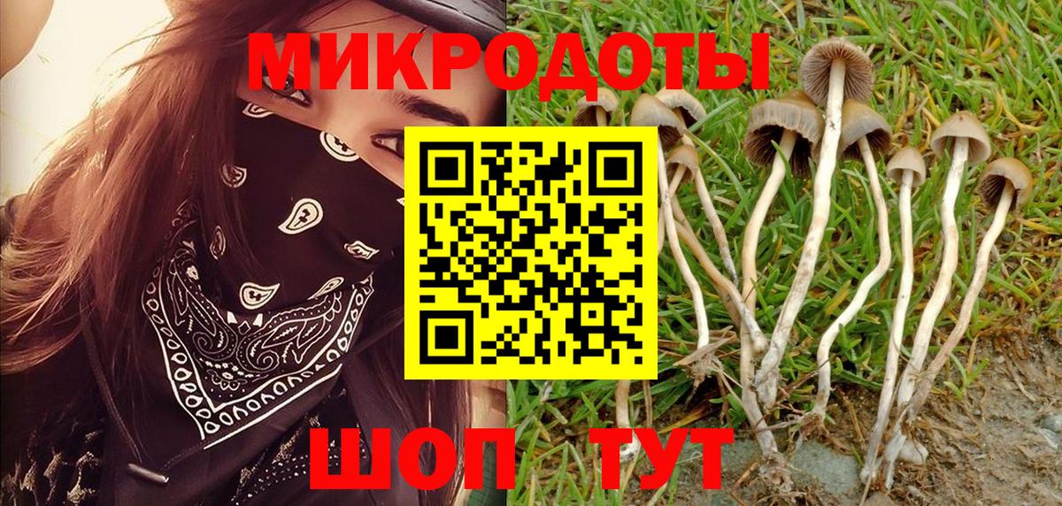 Псилоцибиновые грибы ЛСД  Вход с VPN  Апатиты 